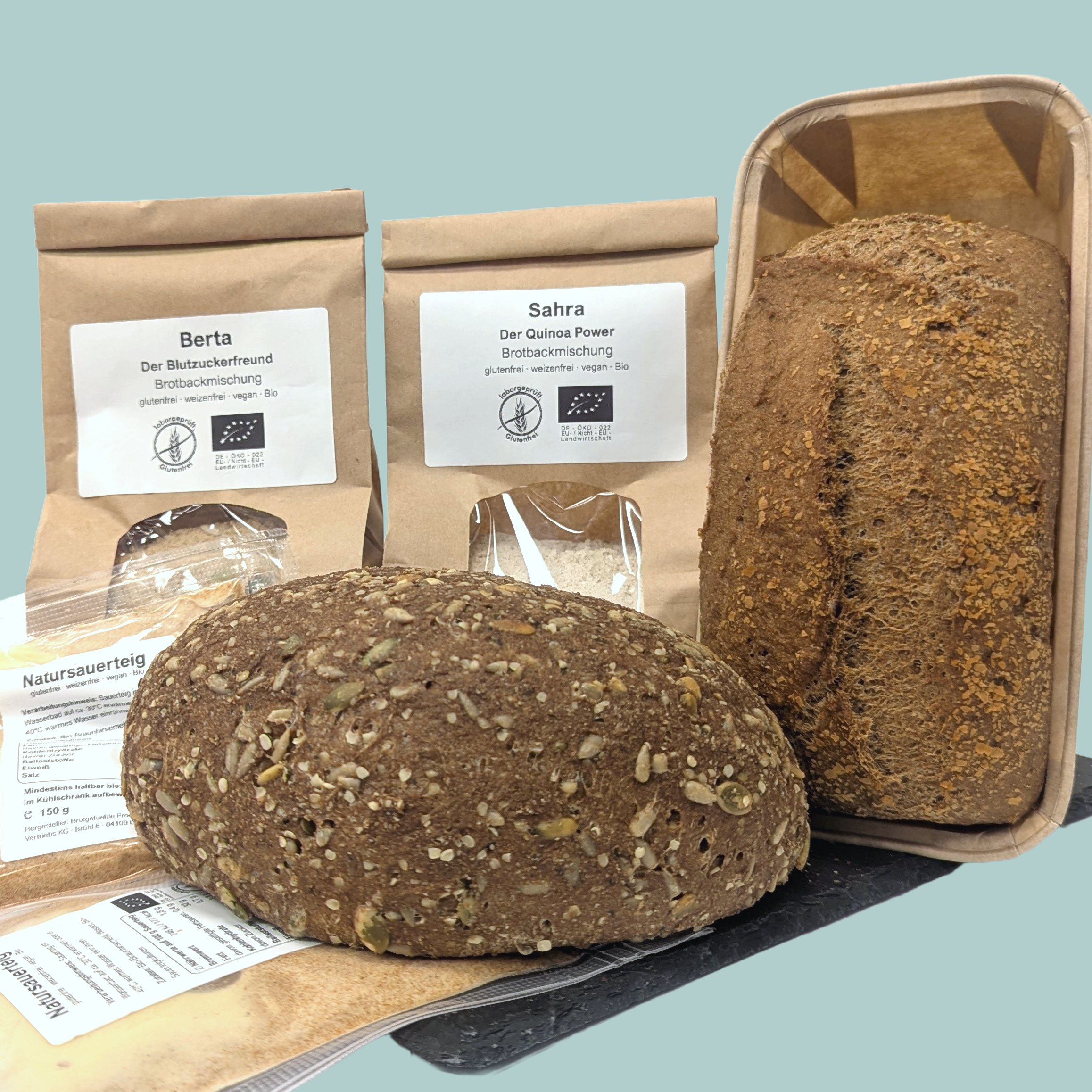 Explore the Sourdough Starter Kit